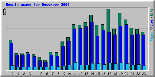 Hourly usage for December 2008