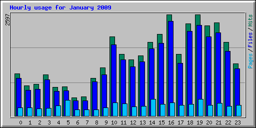 Hourly usage for January 2009